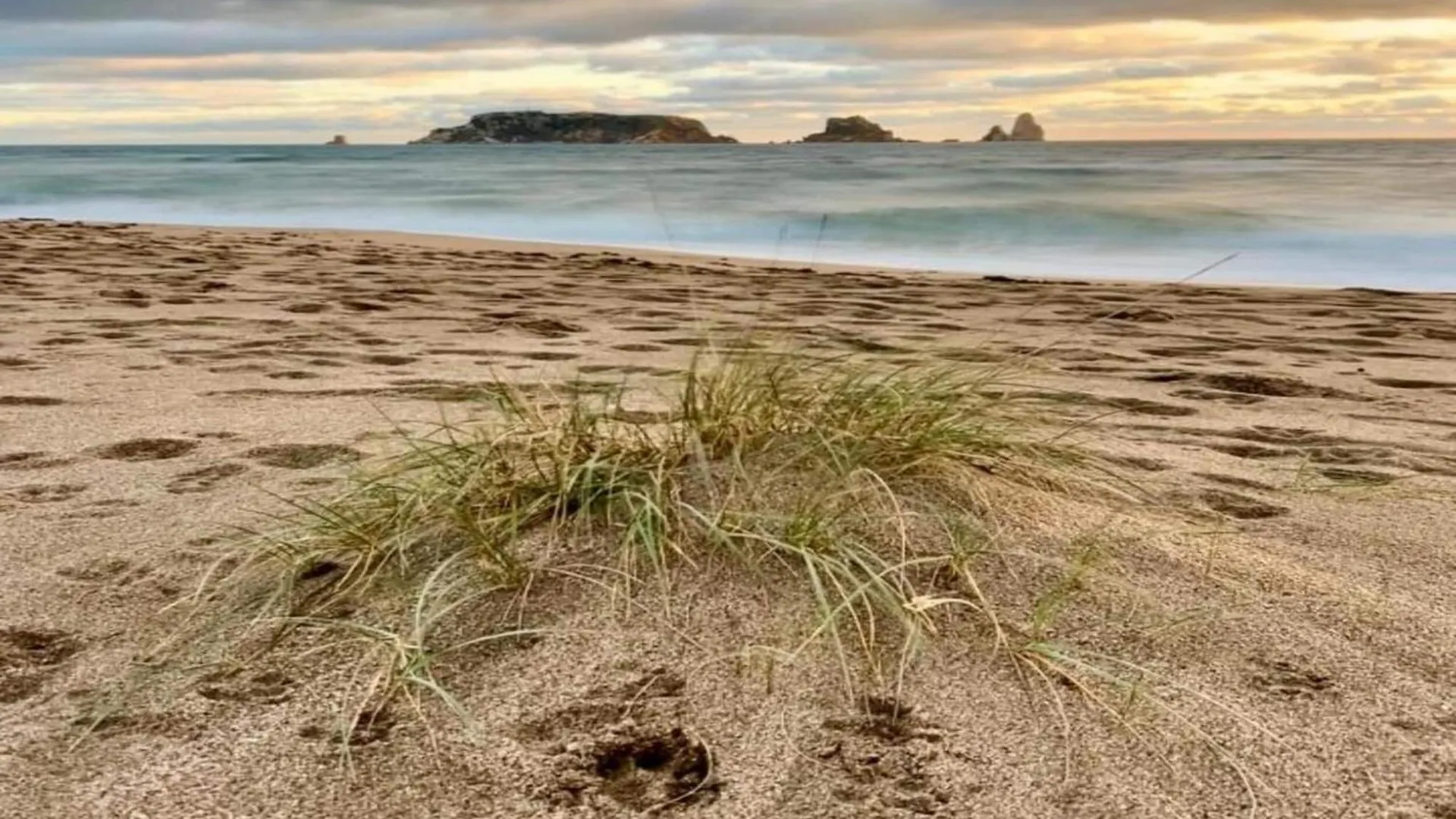 Apartamento Jardins Del Mar 132 L'Estartit España
